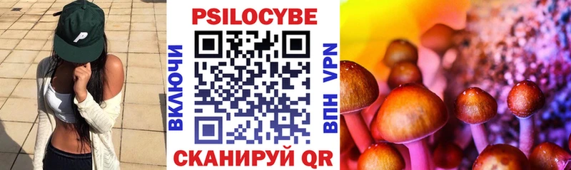 Псилоцибиновые грибы мицелий  как найти закладки  Бабушкин 